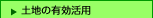 �y�n�̗L�����p